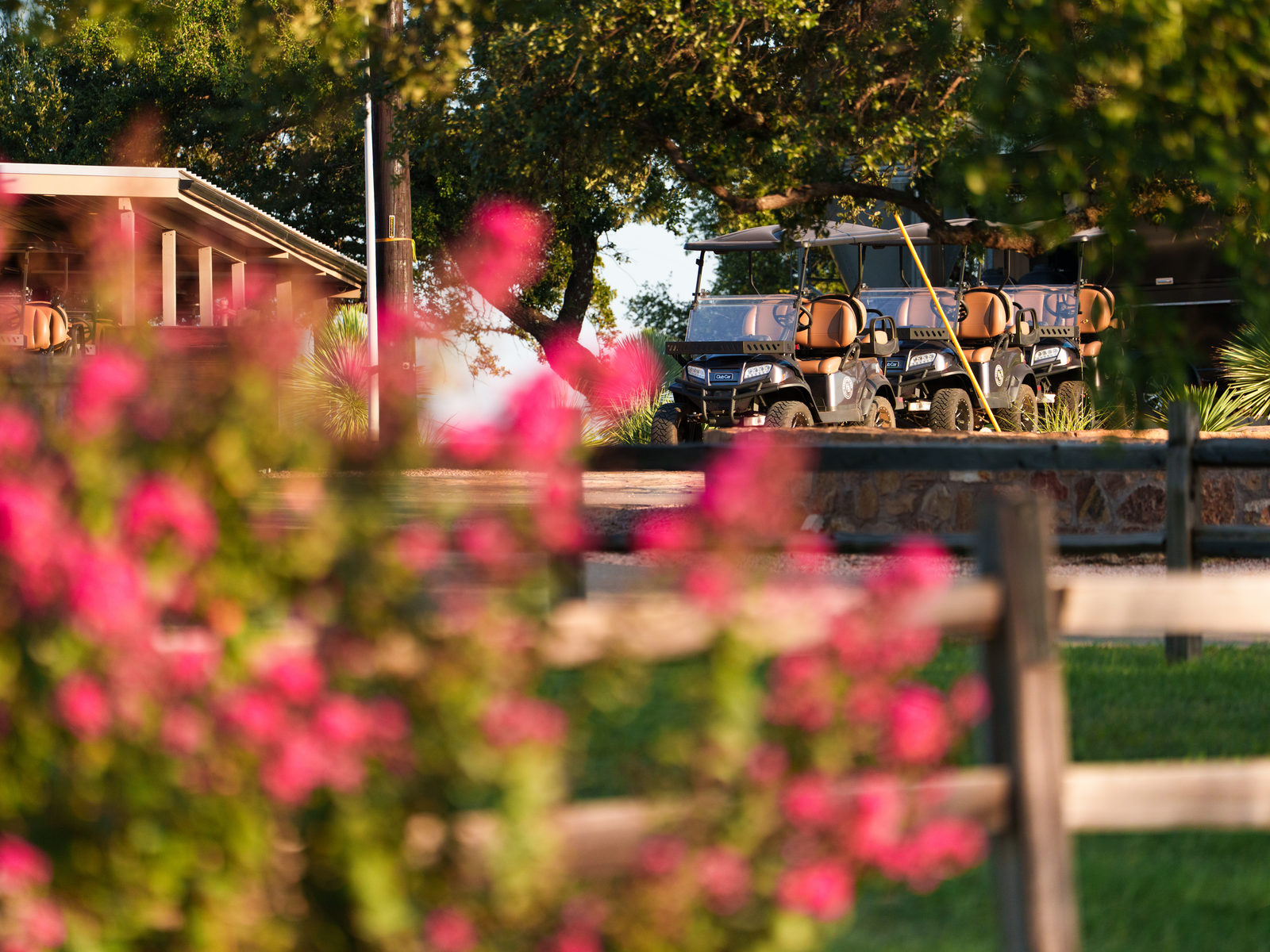 Carts staged outside the clubhouse behind blooming crape myrtle